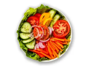 Вегетариански