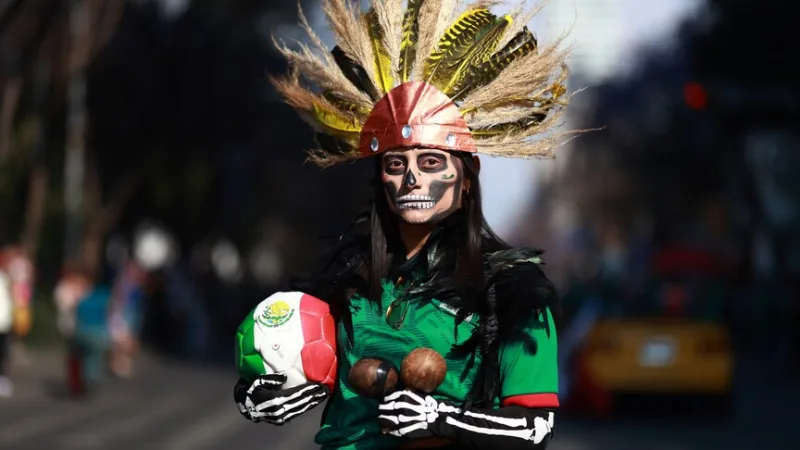 Očekává se, že tato světová fotbalová událost přinese ekonomice příjmy v řádu miliard dolarů