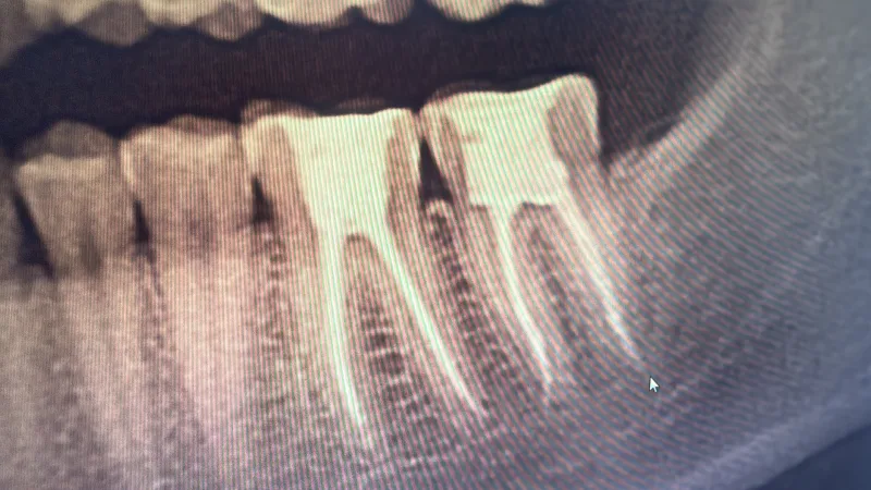 Alanya HEALTHY TEETH Dental Aesthetic — Geneeskunde in Alanya: Online bestellen, prijzen en beoordelingen