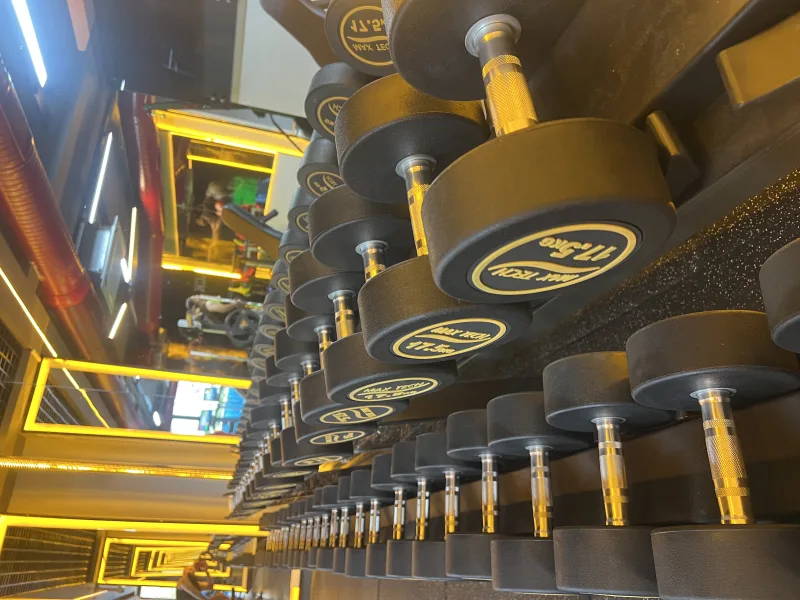 Black Bull Pro GYM — Gymnastique à Alanya: Commande en ligne, prix et avis